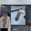 하이존1,2 이미지