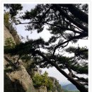 청계산(망경대) Daum카페
