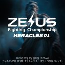 파라에스트라양주주짓수mma