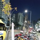 호만빌딩앞 이미지