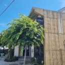[내돈내산][남원카페] 도심 속 정원을 즐길 수 있는 곳! < 오베이 > 솔직 후기 🌿