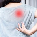 월드짐 휘트니스 이미지