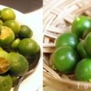 (주)애니스코
