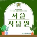 겨울에도 초록 초록 식물들과 힐링하고 싶다면? 서울식물원에 방문해보자!