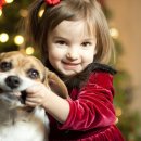 웃는강아지 이미지