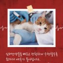 바론동물병원 이미지