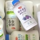 사오목장 네이버블로그