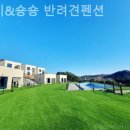 비비&숑숑반려견펜션