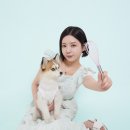 댕댕부엌