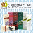 수네일&바디 네이버블로그