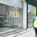 가로수길 이미지