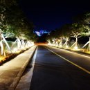 서귀포파크호텔 이미지