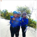 광명대교 이미지