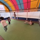 중동초등학교병설유치원 | 낙동초병설유, 인근 유치원과 함께하는 특색교육 시작
