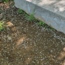 교항1리 이미지