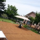 퍼피랜드 이미지