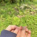 야베스하우스 | 봄 제주 서쪽 3박4일 여행 기록