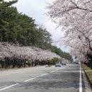 하늘가득 이미지