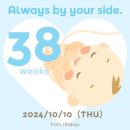 용인대하가태권도 | [임신 38주차] 동탄대하구이, 수원못골시장, 임산부 호르몬