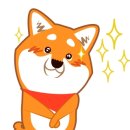 우주펫애견미용 이미지