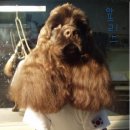 태권돌이 이미지