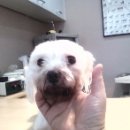 가좌종합동물병원 이미지