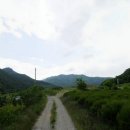 정자천 이미지