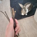 토당 | 토끼 간식 추천｜토당마을 사과나무가지 내돈내산 후기 (토끼 이갈이 간식)