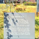 우곡보건지소 | 고령 도진마을 능수도화, 아는 사람만 가는 숨은 명소 방문후기