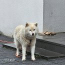 파우제419펜션 이미지