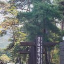 [로그인Mt.] ⑬ 경주 남산(100대 명산)
