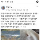 어느가을 오후 이미지