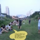 운중천반려견놀이터 이미지