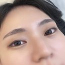 그린래쉬
