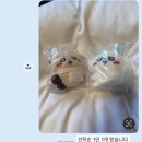 도원지하보도 | 🇯🇵 또다시 나혼자 후쿠오카 | 교동이신발 찾으러 사사구리까지 갔다옴