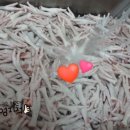 안양건강원