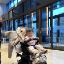 이삐네 | P남편과 18개월아기와 함께하는 전주여행