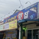 순천 조례동 알딸딸포차 다녀온 후기 (내돈내산, 산오징어회맛집)