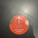 활짝핀유치원 | [내맘대로 동동유럽 : 슬로베니아/류블랴나] Day.6,7 브라티슬라바에서 류블랴나, FLIXBUS, BUZA하우스...