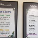 올가드림뷰티배곧