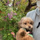 광교산동물병원 이미지