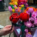 보물섬 PC | [주간일기] 20260216-0222