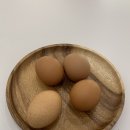 아하데이스파토르마린저온찜질까페진주선학점