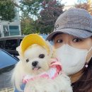 장재영외과동물병원 이미지