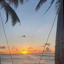 뉴스피드카서비스 | 🏖️ 괌 리티디안비치 프라이빗 비치 완전정복 | 리티디안 프라이빗 비치 솔직 후기 & 가성비 꿀팁