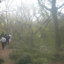 저지한의원 이미지