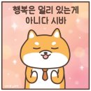 삼삼오식당 이미지