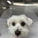 이랑동물병원 이미지