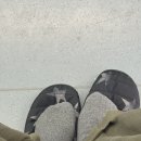 아시발 친구가 발핫팩 준거 깔았는데 처뜨거워 이미지