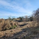 이매목장 이미지